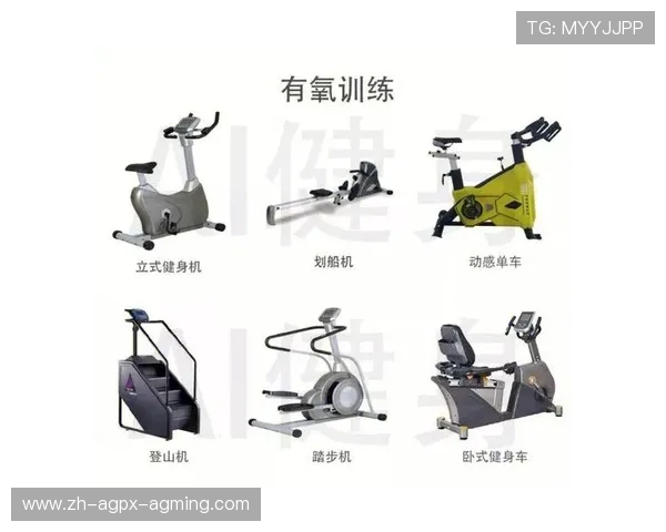 臀部塑形专用健身器材推荐及训练方法